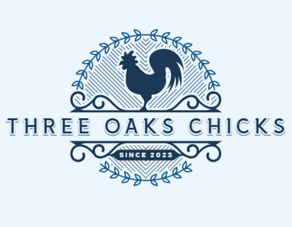 Three Oaks Chicks